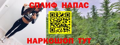 гашик Братск