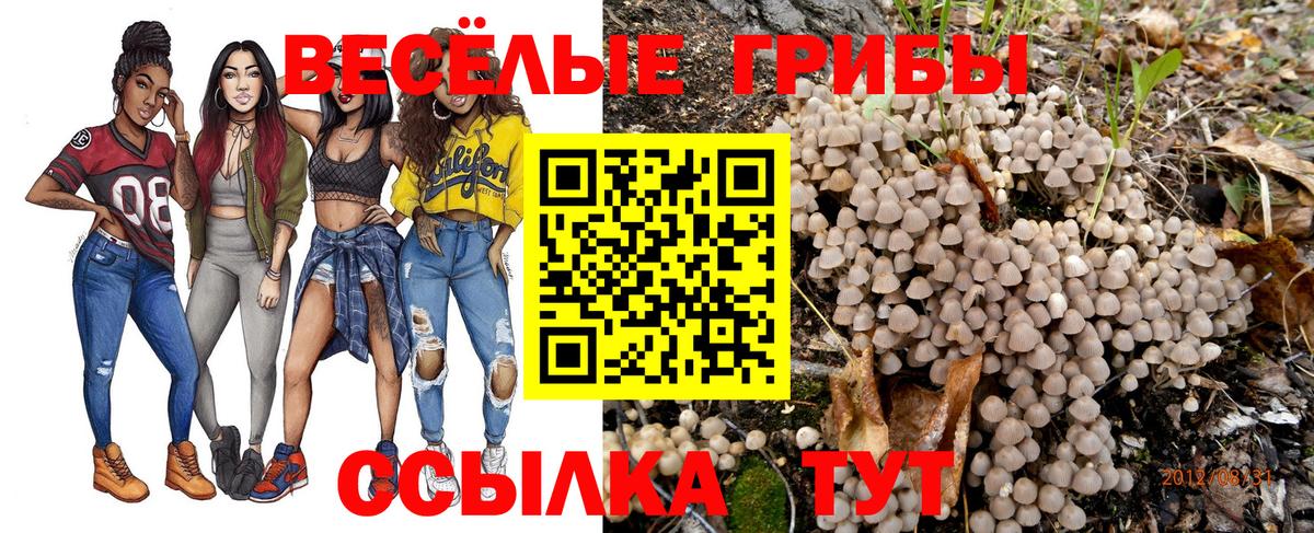 Галлюциногенные грибы мухоморы Балашиха